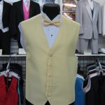 Yellow full back vest and matching bow