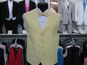 Yellow full back vest and matching bow